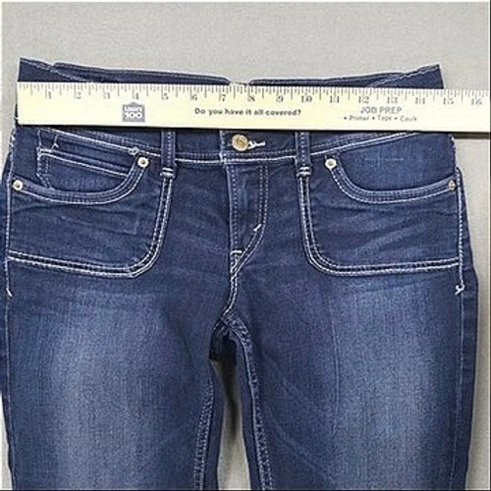 Levis levis 524
